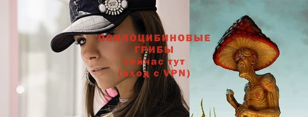 герыч Богородск