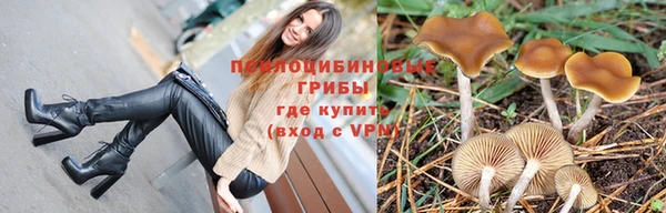 spice Богданович