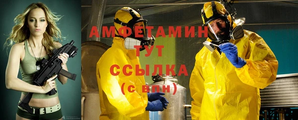 spice Богданович
