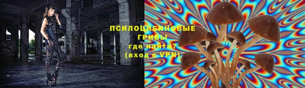 марихуана Богородицк