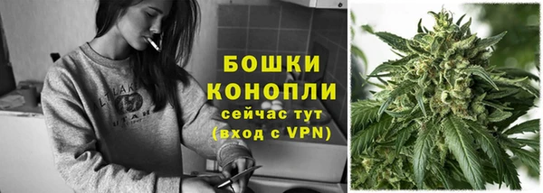 spice Богданович