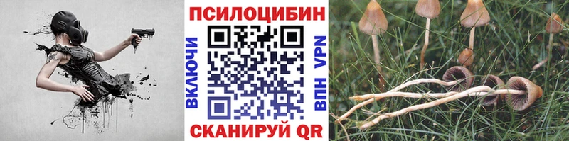 магазин    Уварово  Псилоцибиновые грибы Psilocybine cubensis 